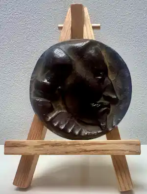 Jos Reniers - Bronzen penning | Vereniging voor Penningkunst | 'Hugo de Groot' | 1983 verkocht voor € 70!