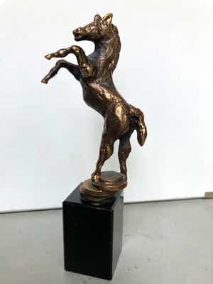 Ruurd Hallema - Steigerend Paard verkocht voor € 50!