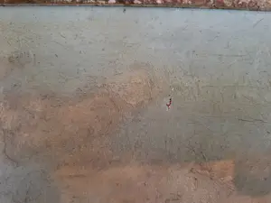 Wilhelmus L. Wijmans - Voorjaar roeiboot in rietkraag kopen? Bied vanaf 20!