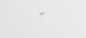 Jaco Putker - Zeefdruk, Op de schouders van giganten III - Ingelijst kopen? Bied vanaf 1!