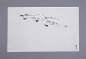 Melle Oldeboerrigter - Inkttekening op papier, z.t. Insecten kopen? Bied vanaf 80!