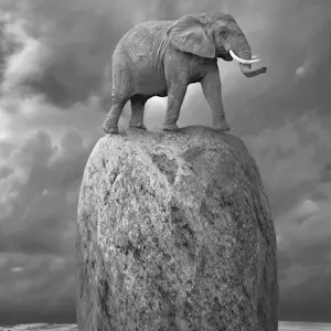 Dariusz Klimczak - 'Relativiteit' (2013) kopen? Bied vanaf 80!