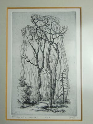 Niet of onleesbaar gesigneerd - Bomen op Maurick Ets 1958 kopen? Bied vanaf 10!