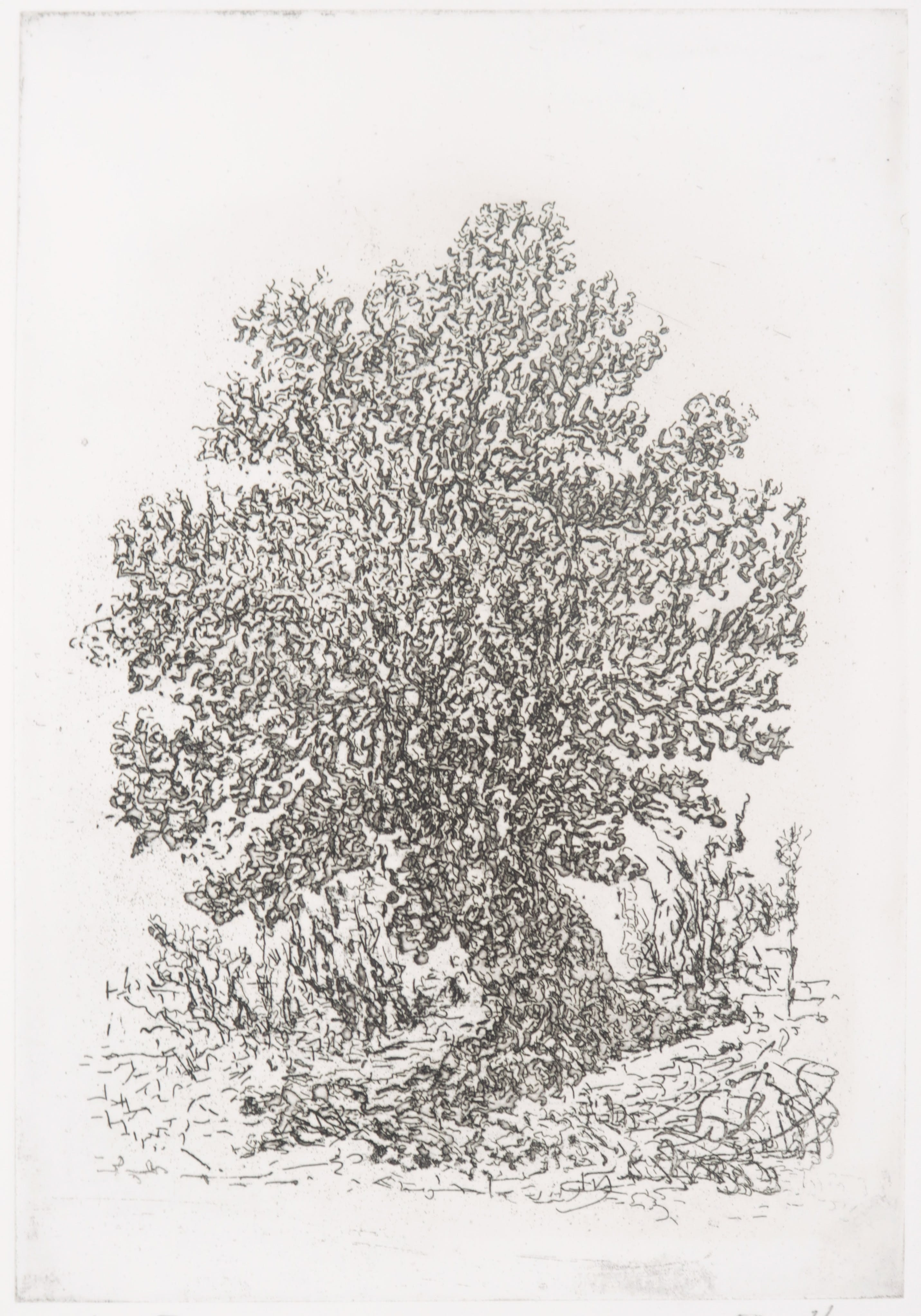 Gerard Bellaart - Lotje met 6 etsen op papier kopen? Bied vanaf 1!