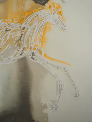 Salvador Dali - Paarden, Pegasus, Lithografie kopen? Bied vanaf 120!