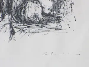 Kees Andrea - Spaanse geiten - Litho kopen? Bied vanaf 40!