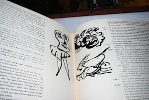 Karel Appel - gesigneerde hardcover kopen? Bied vanaf 225!