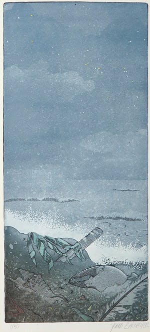 Sjoerd Bakker - Kleurenets, Akito's Lied (met gedicht) kopen? Bied vanaf 20!