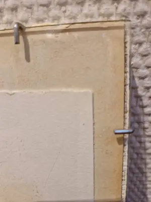 Ellen Meuwese - Waggelende kip kopen? Bied vanaf 20!