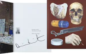 Damien Hirst - Gesigneerd boek - The Elusive Truth kaufen? Bieten Sie von 1!