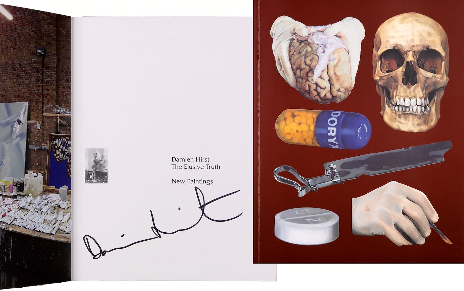 Damien Hirst - Gesigneerd boek - The Elusive Truth kopen? Bied vanaf 1!