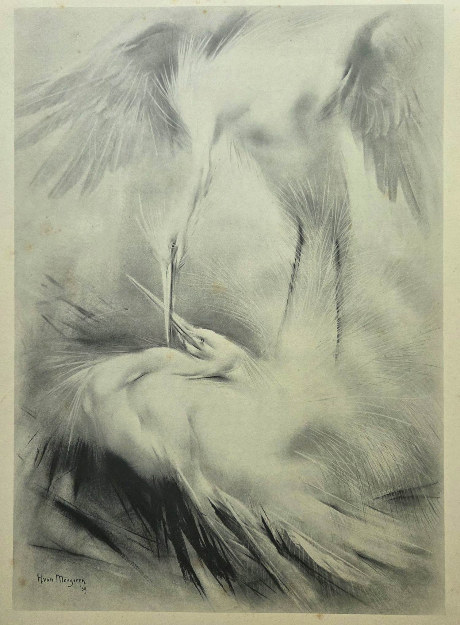 Han van Meegeren - Witte reigers. kopen? Bied vanaf 59!