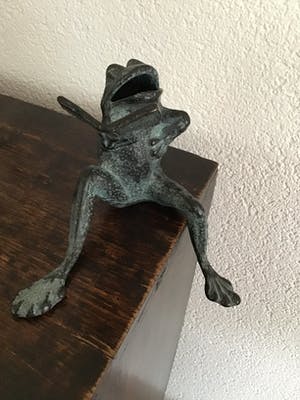 Niet of onleesbaar gesigneerd - Zingende of lezende kikker, zittend kopen? Bied vanaf 1!