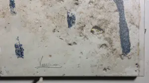 Mark Verdoes - Fotocollage (gedrukt) op doek, Skin II kopen? Bied vanaf 50!