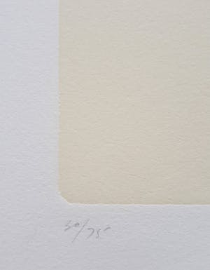 Thom de Jong - Food for Thought, aquatint ets kopen? Bied vanaf 40!