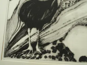 Uto Hogerzeil - Ingelijste ets en aquatint , Emoe’s (?) – 1980 – Lijst, 42 x 52 cm. kopen? Bied vanaf 60!