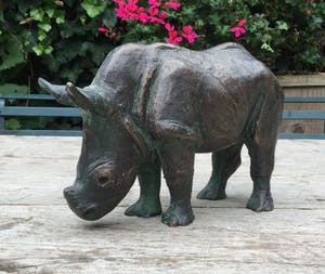 Hetty Heyster - C4830-4C, Neushoorn kopen? Bied vanaf 650!