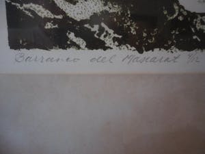 Antony van Lieshout - Litho. titel, "Baranco del Muscarat". kopen? Bied vanaf 30!