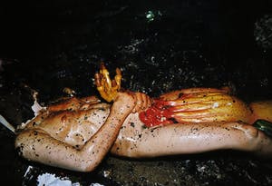 Cristobal Hara - C-Print op aluminium, Zonder titel - Ingelijst (Groot) kopen? Bied vanaf 1!