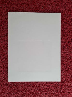 Hadewijch Ouwendijk - Zeer kleine oplage (20ex) Handgekleurde Litho "levensboom" gesigneerd kopen? Bied vanaf 19!