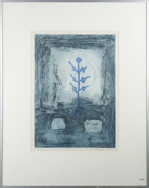 Jan Montyn - Ets en aquatint, Flower of N.K. - Ingelijst kopen? Bied vanaf 120!