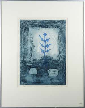Jan Montyn - Ets en aquatint, Flower of N.K. - Ingelijst verkocht voor € 120!