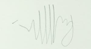 Ronald Ceuppens - Ets & Collage, Flore Belge kopen? Bied vanaf 1!