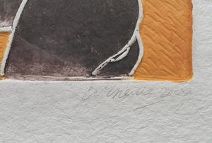 Corneille - Aquagravure: 'Les oiseaux amoureux et l’Africaine' - Nieuw ingelijst (Groot) kopen? Bied vanaf 690!