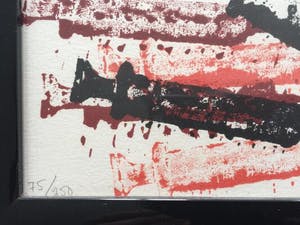 Arman - Hypored - Handgesigneerde lithografie uit de reeks Doctor's Special - 1977 kopen? Bied vanaf 250!