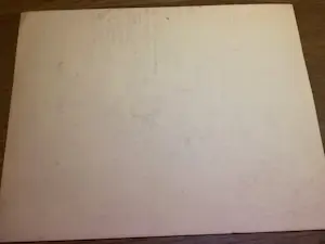 Aart Johannes Cock - 1905-1981 - Balinees Hanengecht kopen? Bied vanaf 90!