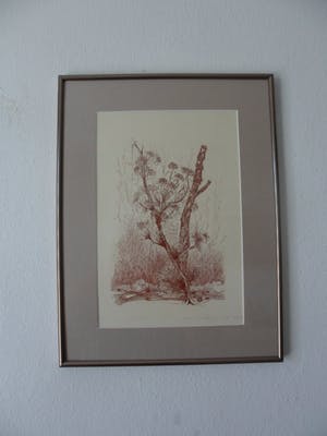 Kees de Ruijter - Ets, "Bloeiend tak" kopen? Bied vanaf 5!