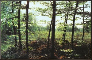 Paul Huf - Foto, Zonder titel - Ingelijst kopen? Bied vanaf 1!