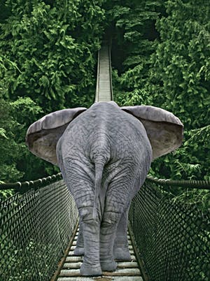 Mr. Strange - Passage du Pont Jane kopen? Bied vanaf 35!