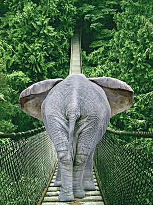 Mr. Strange - Passage du Pont Jane verkocht voor € 35!