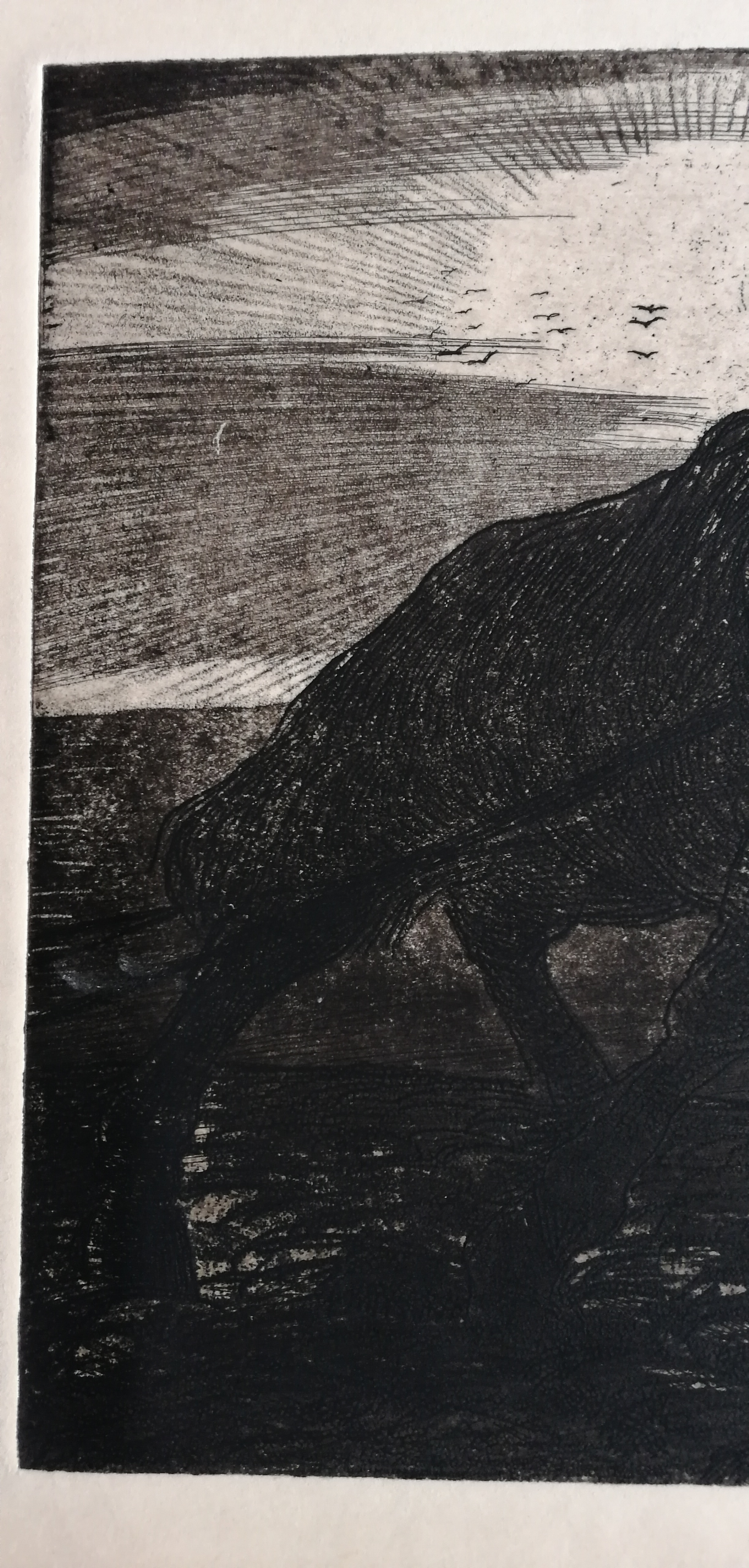 Jac. J. Koeman - Ploegpaard kopen? Bied vanaf 35!