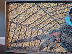 Cornelis Witters - Spin in web kopen? Bied vanaf 75!