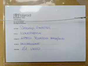 Pierluigi Vannozzi - Iconopathia (dittico/ diptiek) kopen? Bied vanaf 75!