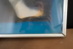 Anke Engelse - Animus en Anima kopen? Bied vanaf 50!