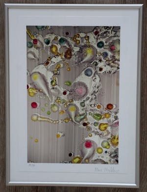 Marc Mulders - Ingelijste zeefdruk kopen? Bied vanaf 295!