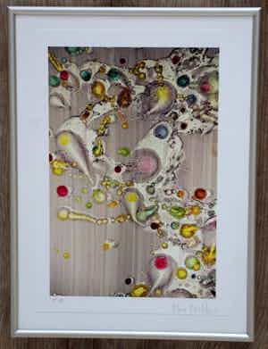 Marc Mulders - Ingelijste zeefdruk verkocht voor € 295!
