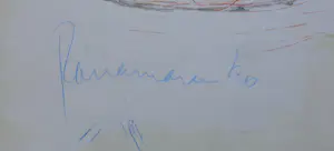 Panamarenko - BING II / KLEUROFFSET / 55x37cm / SIG / ZELDZAAM / 2004 kopen? Bied vanaf 150!