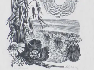 Dirk van Gelder - Zomer - Gravure kopen? Bied vanaf 1!