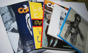 Lotti van der Gaag - Zeefdruk op katoenzijde + Litho Jef Diederen + 6x Lotti/Cobra-boeken kopen? Bied vanaf 75!