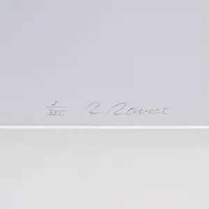 Roger Raveel - De Leie kopen? Bied vanaf 1150!