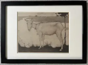 Jan Mankes - Originele Heliogravure Geit bij het Meer 1923 kopen? Bied vanaf 125!