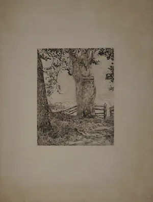 Willem de Zwart - Verboden toegang kopen? Bied vanaf 39!