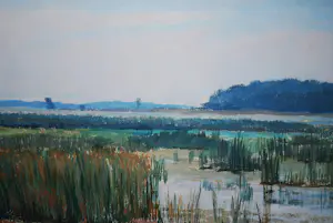 Simon Stolp - Het Naardermeer - groot olieverfschilderij - mooi ingelijst kopen? Bied vanaf 150!