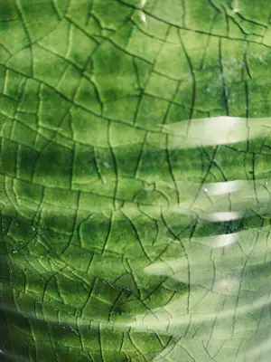 Potterie Ravelli - groene ribbelvaas met craquelé kopen? Bied vanaf 35!