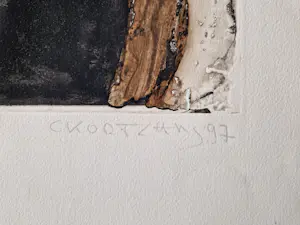 Cees Kortlang - Grote handgekleurde reliëf Ets/aquatint - potloodges. - zeer kleine oplage (10) kopen? Bied vanaf 59!
