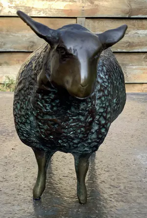 Hetty Heyster - Schaap/lam kopen? Bied vanaf 650!